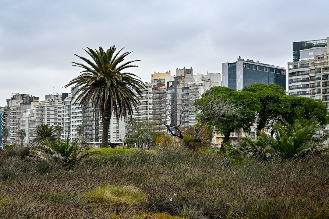 Skyline of Montevideo at sunset with the Rambla coastline