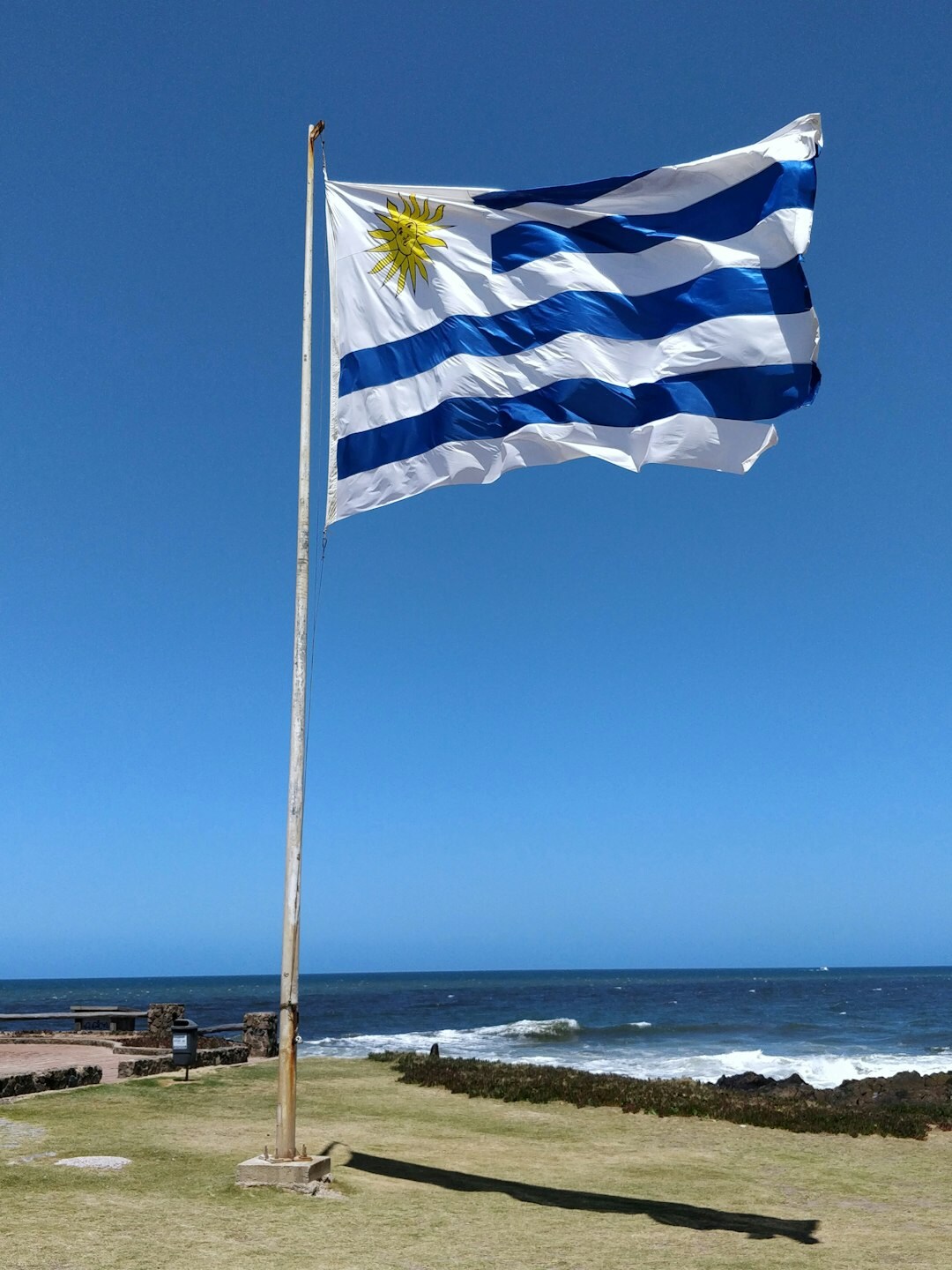 uruguayan celebrity portrait